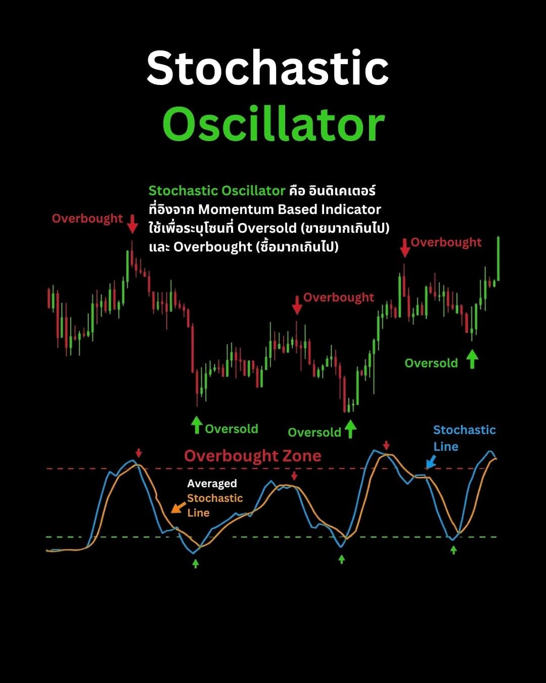 Indicators & Tools ที่เทรดเดอร์ต้องรู้จัก — Divergence, Stochastic, VWAP และ Volume Profile (Part 1)