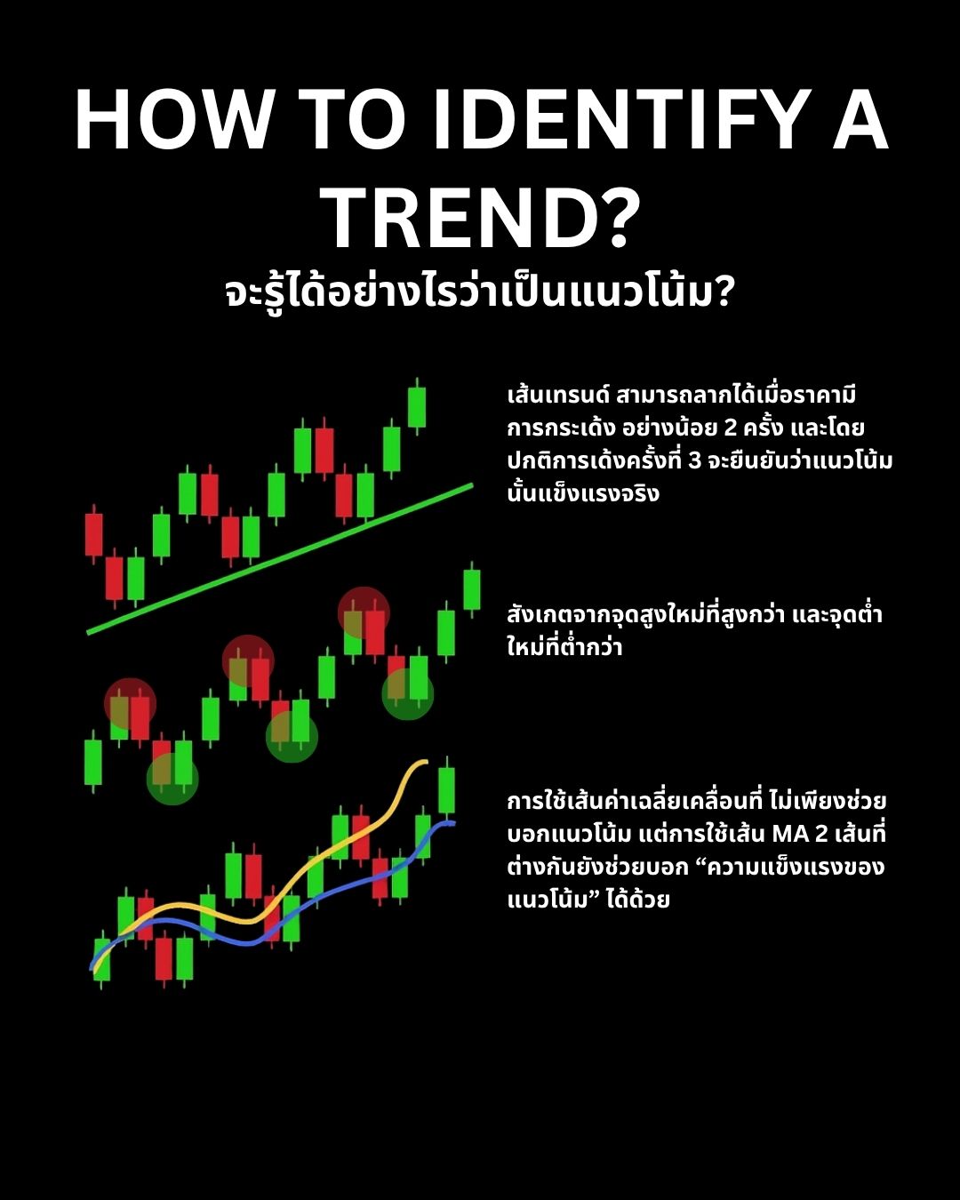 เริ่มต้นเทรด Forex อย่างถูกต้อง: ทุกสิ่งที่มือใหม่ต้องรู้ก่อนเปิดออเดอร์แรก
