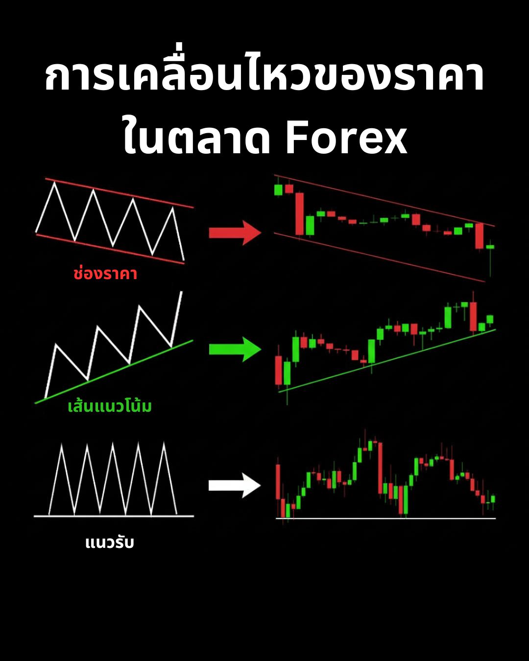 เริ่มต้นเทรด Forex อย่างถูกต้อง: ทุกสิ่งที่มือใหม่ต้องรู้ก่อนเปิดออเดอร์แรก