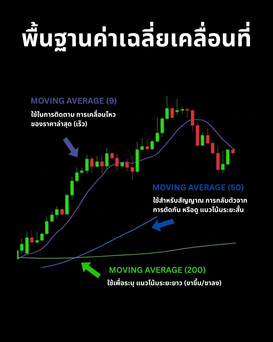เครื่องมือ Forex มือใหม่ต้องรู้: Moving Average, Indicators และเครื่องมือวิเคราะห์กราฟพื้นฐาน