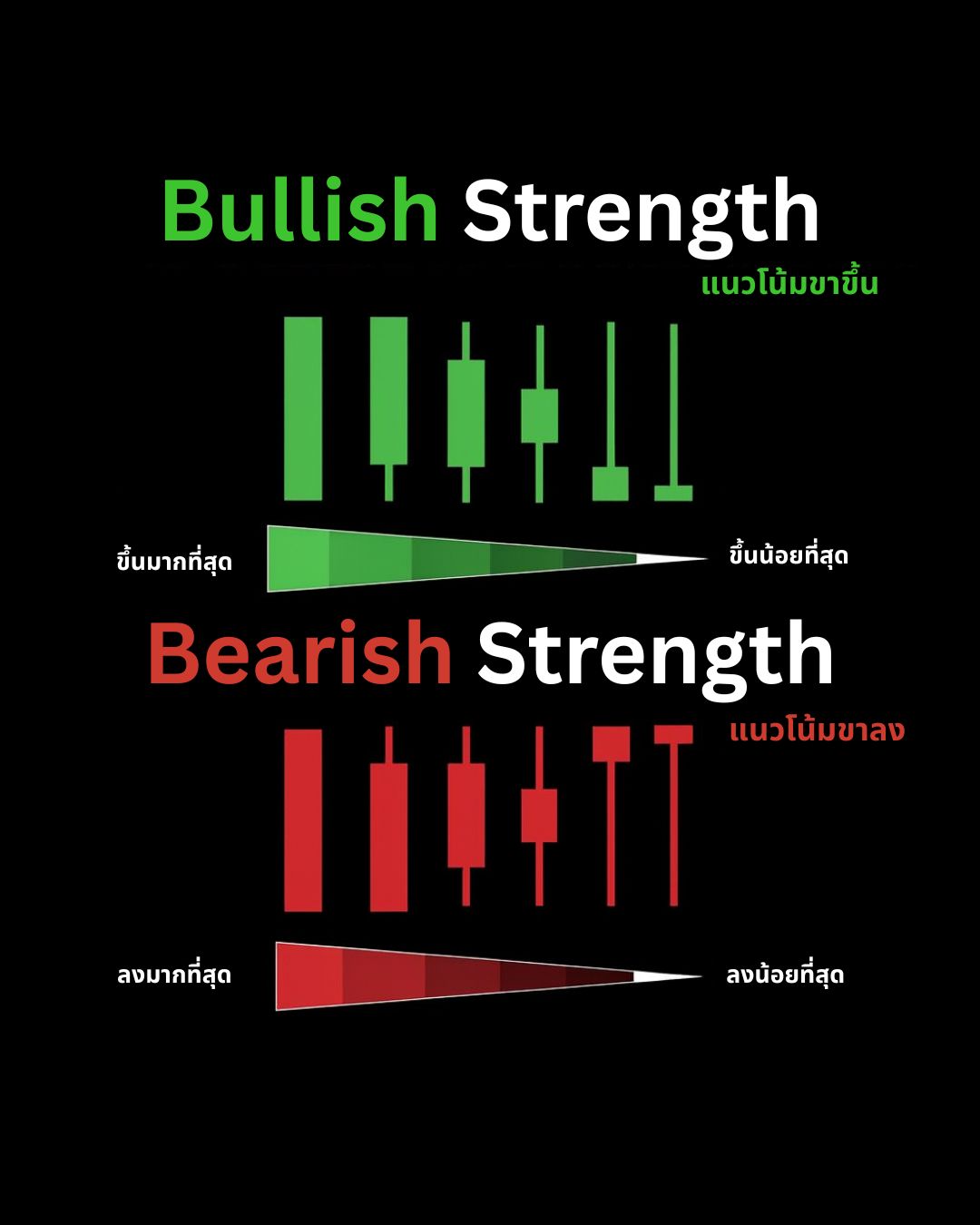 Candlestick Patterns Part 1: อ่านภาษาของแท่งเทียนตั้งแต่พื้นฐานถึงรูปแบบกลับตัว