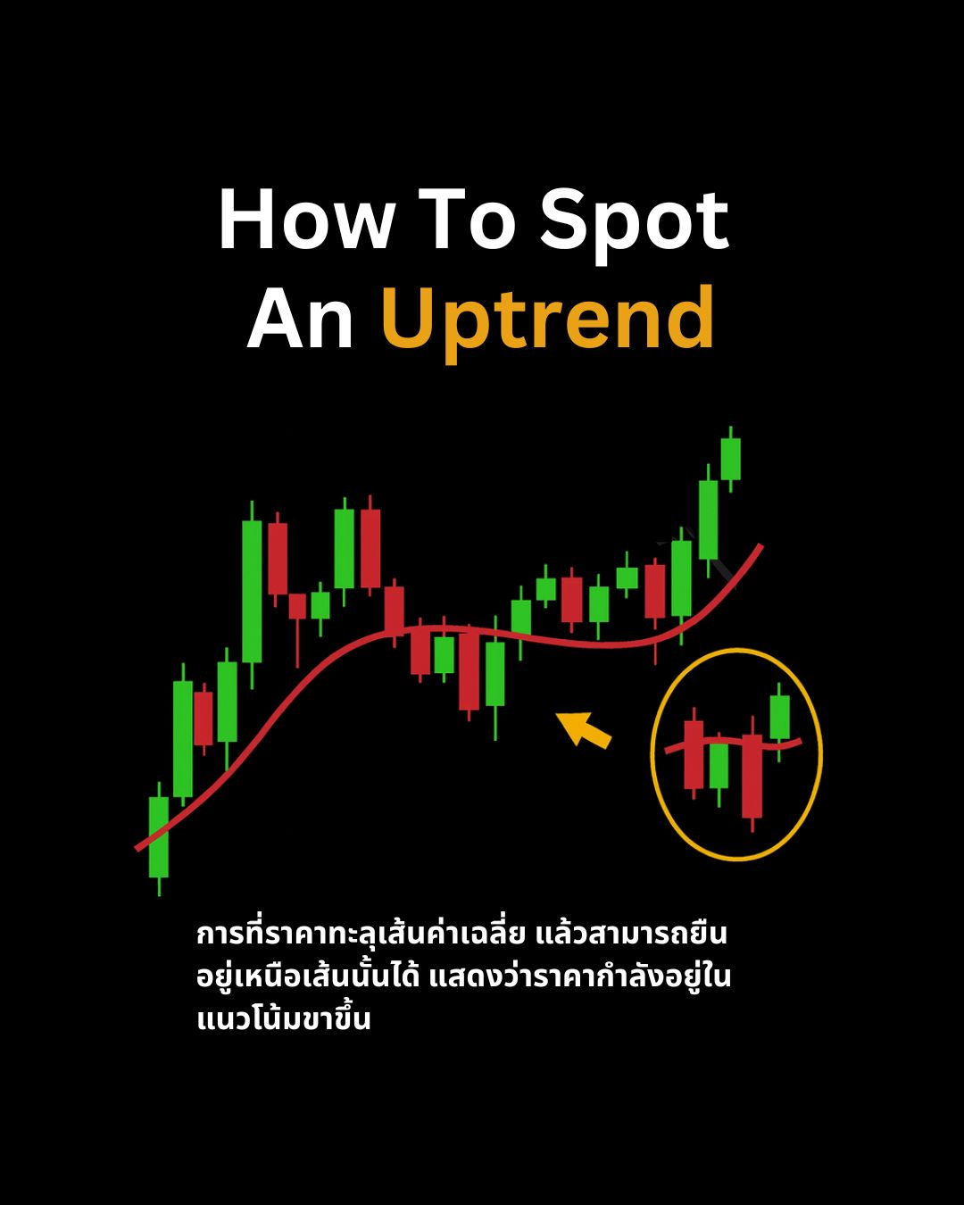 เข้าใจ Price Action และโครงสร้างตลาด: รากฐานสำคัญของการวิเคราะห์กราฟ