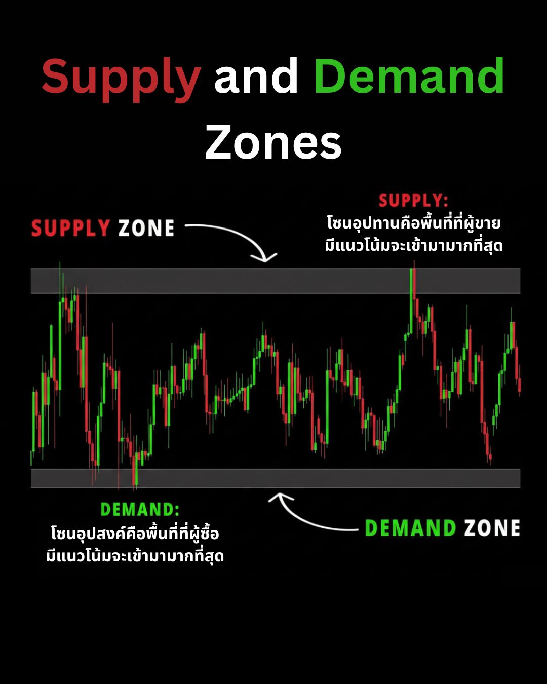 Supply & Demand, Pullback และการกลับตัวของราคา: เจาะลึก Market Structure ขั้นสูง