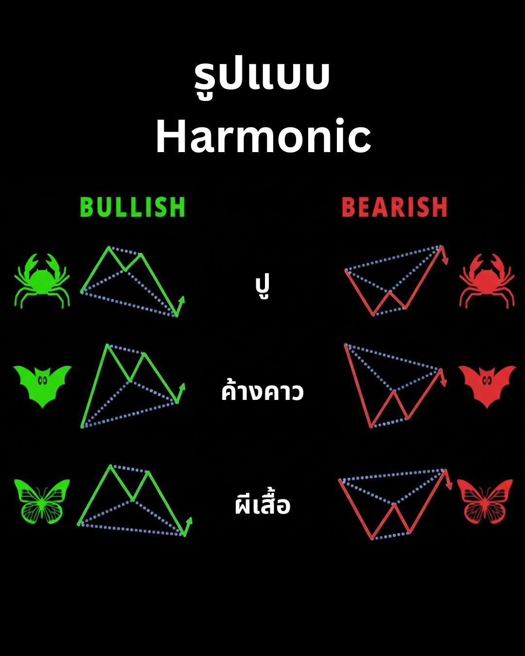 Harmonic Patterns: รูปแบบราคาขั้นสูงที่ใช้ Fibonacci หาจุดกลับตัว