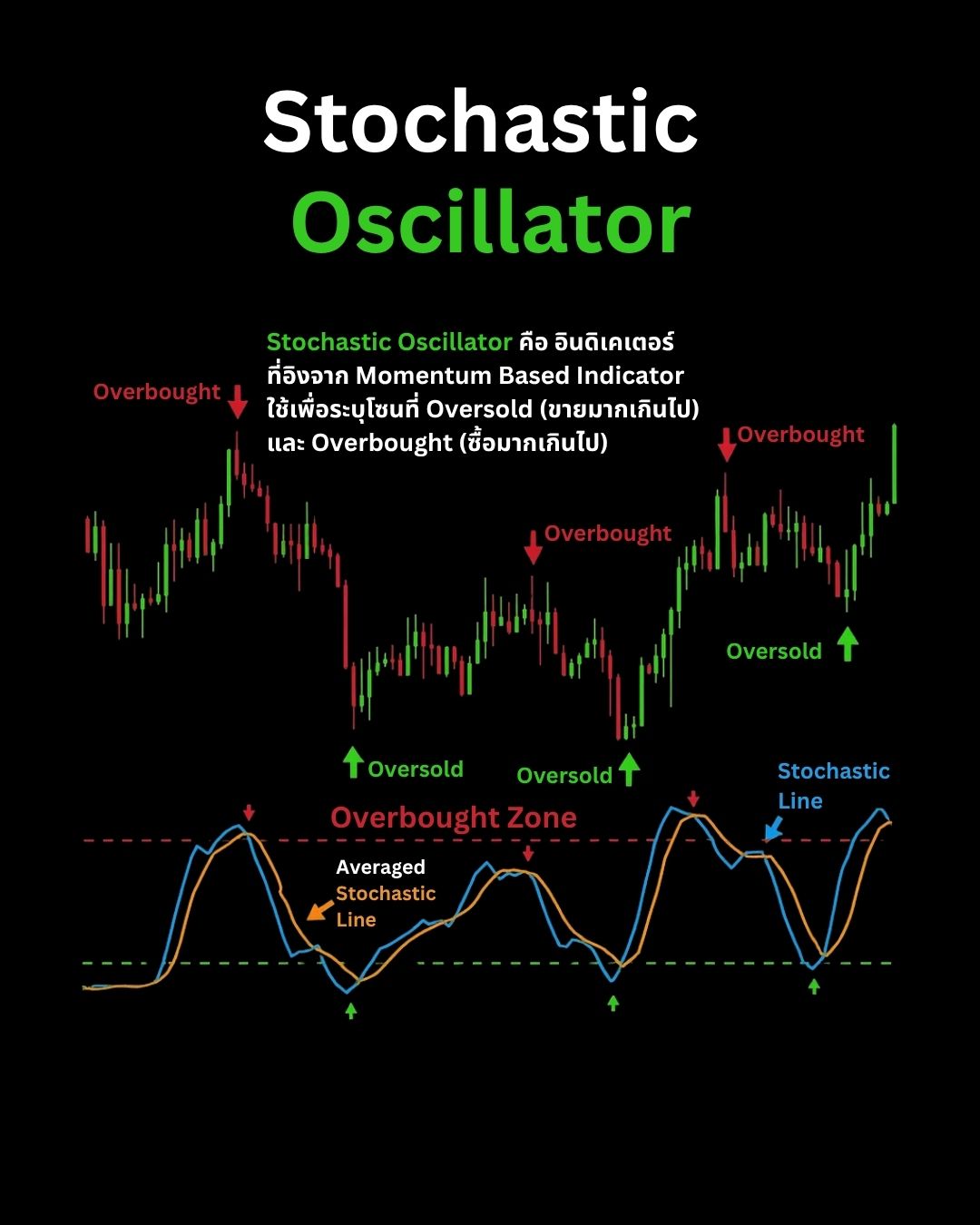 Indicators & Tools ที่เทรดเดอร์ต้องรู้จัก — Divergence, Stochastic, VWAP และ Volume Profile (Part 1)