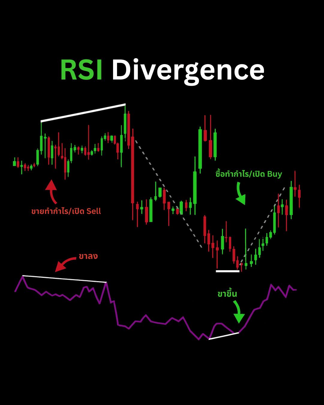 Indicators & Tools ที่เทรดเดอร์ต้องรู้จัก — Divergence, Stochastic, VWAP และ Volume Profile (Part 1)