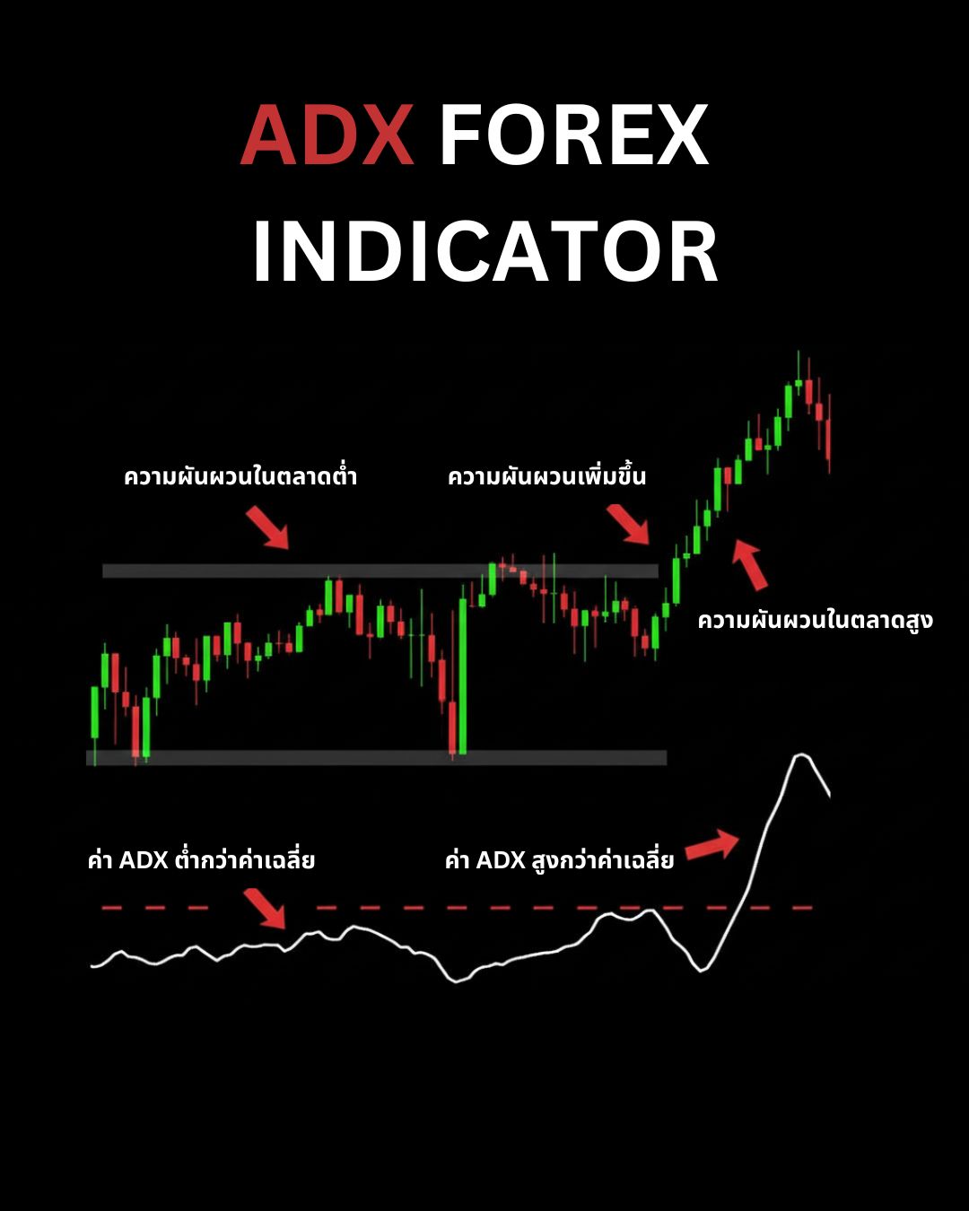 Indicators & Tools ที่เทรดเดอร์ต้องรู้จัก — MACD, ADX, ATR, Supertrend และ Gann Tools (Part 2)