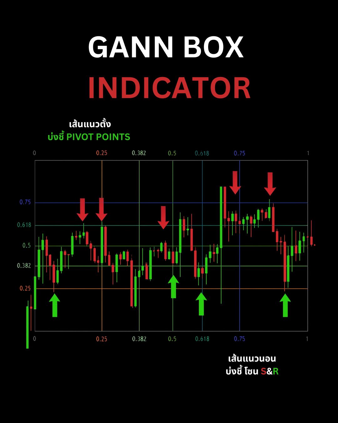 Indicators & Tools ที่เทรดเดอร์ต้องรู้จัก — MACD, ADX, ATR, Supertrend และ Gann Tools (Part 2)